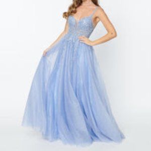 Light Blue Floral Chiffon Cinderella Ball Gown -Size 4